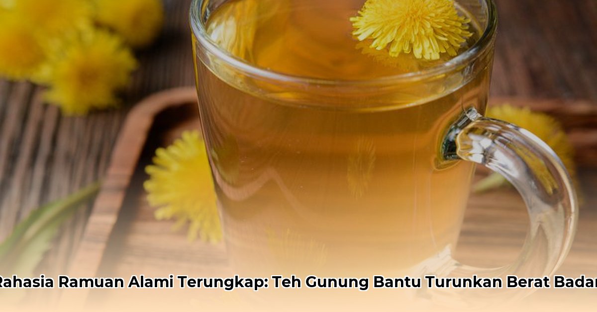 mountain tea weight loss